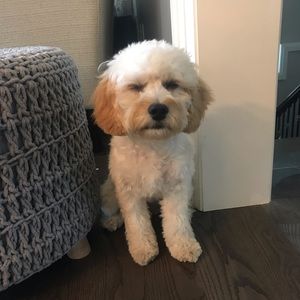 Meet your Posher, Lisa